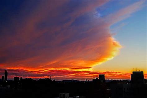 火燒雲徵兆|台北天空驚現超美「火燒雲」！ 鄭明典解釋原因